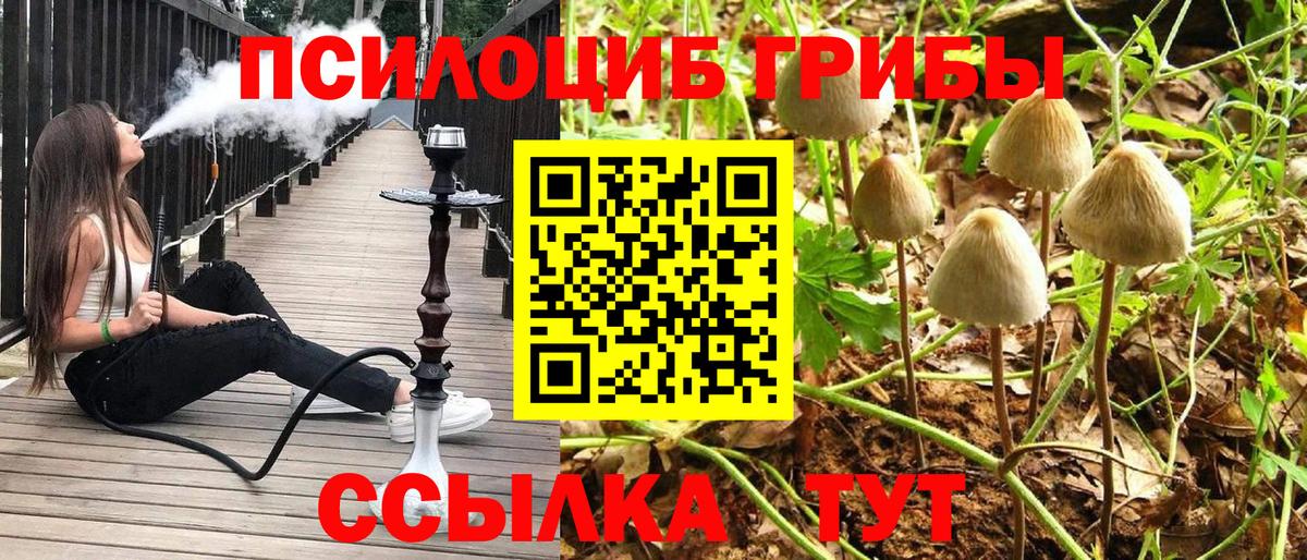 Псилоцибиновые грибы Psilocybine cubensis Мирный