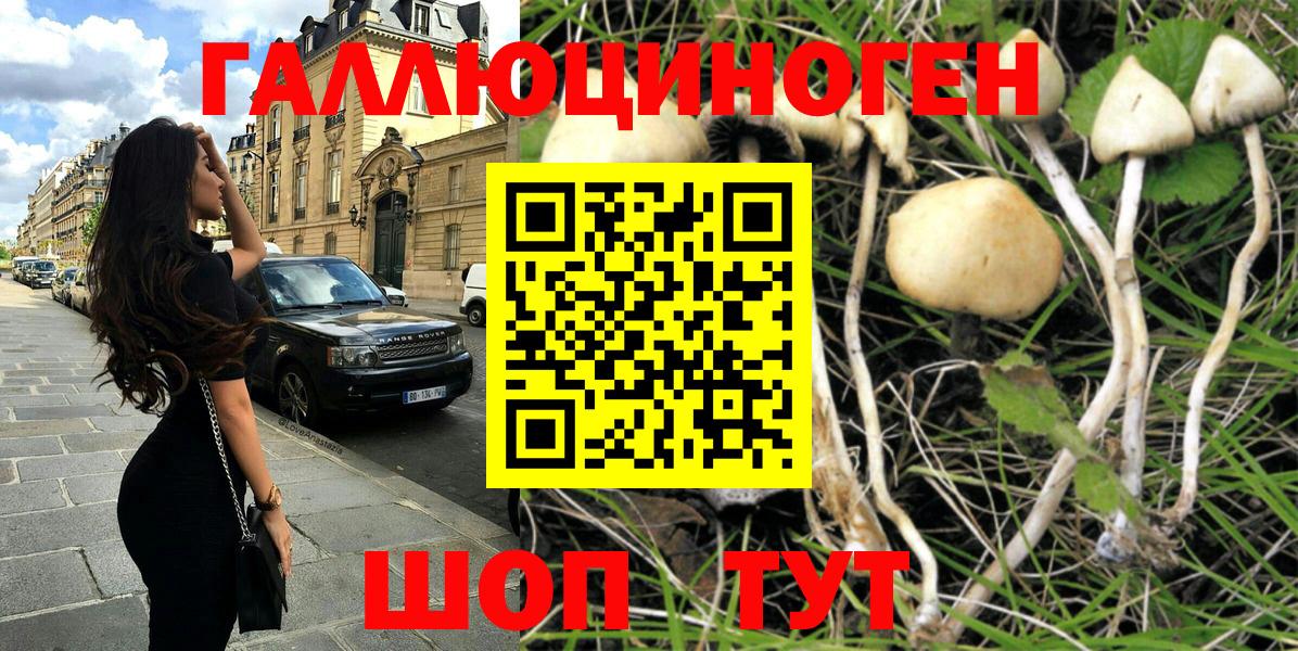 Галлюциногенные грибы GOLDEN TEACHER  Галлюциногенные грибы MAGIC MUSHROOMS  Вход с VPN  Мирный 